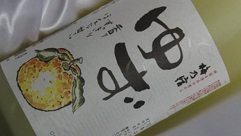 �~�T�h�@�䂸���@�P�D�W�k
